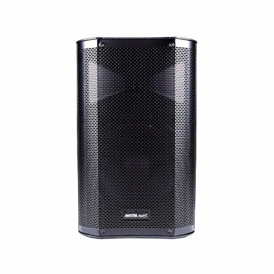 Coluna de som preta com grelha metálica e etiqueta MASTER Audio