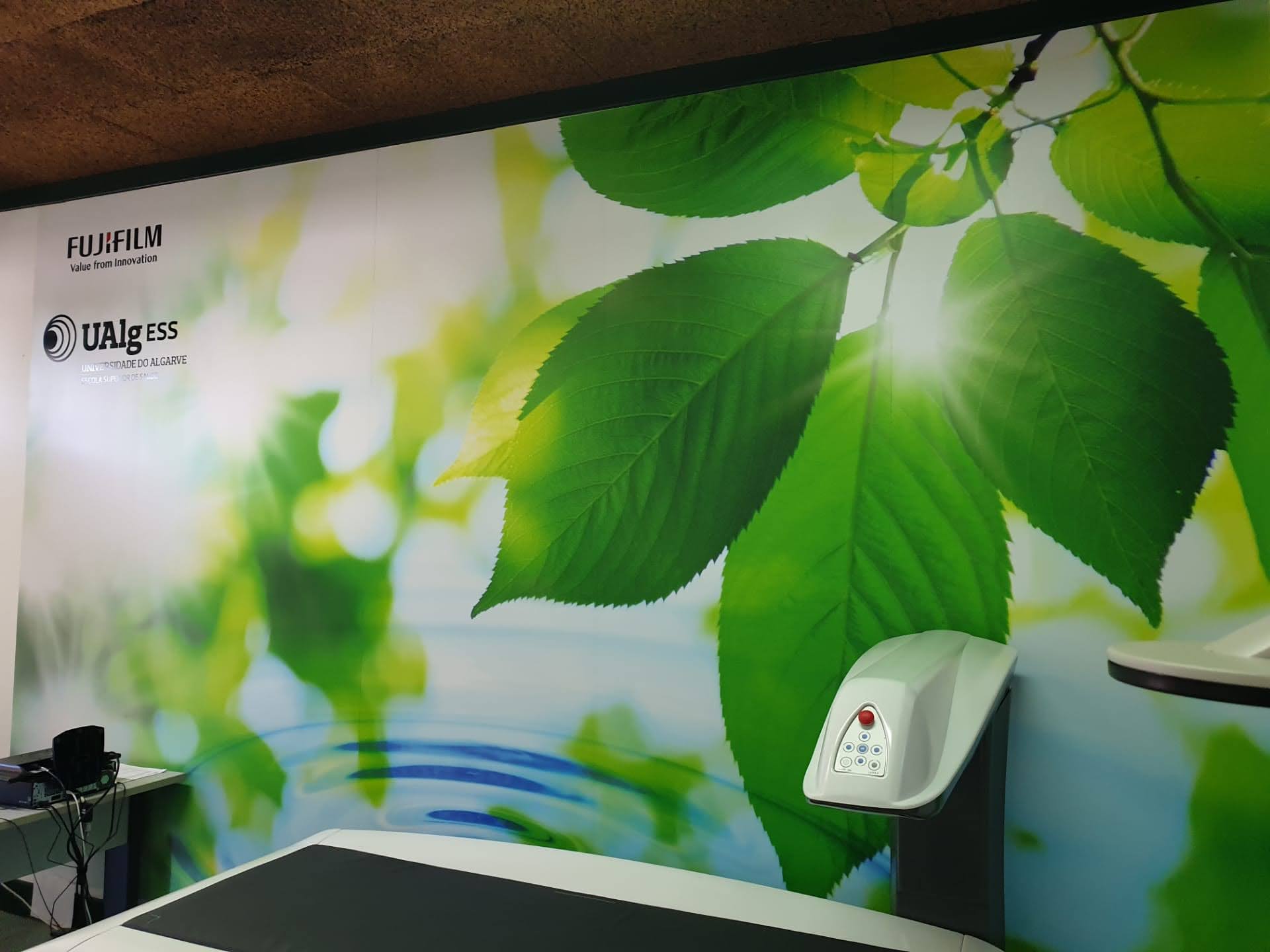 Decoração de Interiores