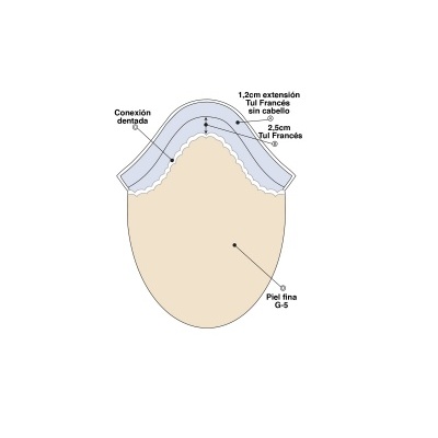 Diagrama com conexões e extensões em tul francês e pele fina.