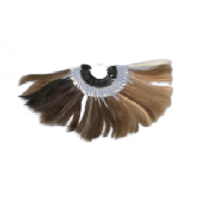 amostras de cabelo em várias cores castanhas e loiras