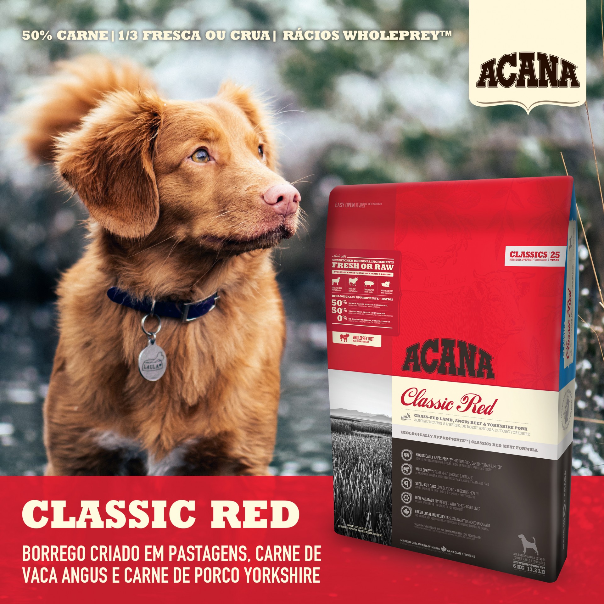 Acana Classics Red