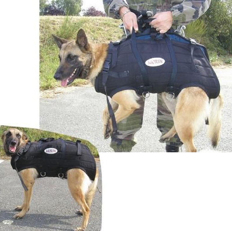 Arnês de Heli-Transporte PRO para cães MORIN