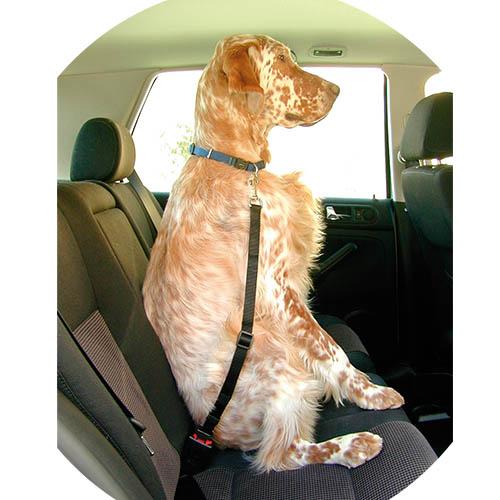 Cinto de Segurança IBANEZ