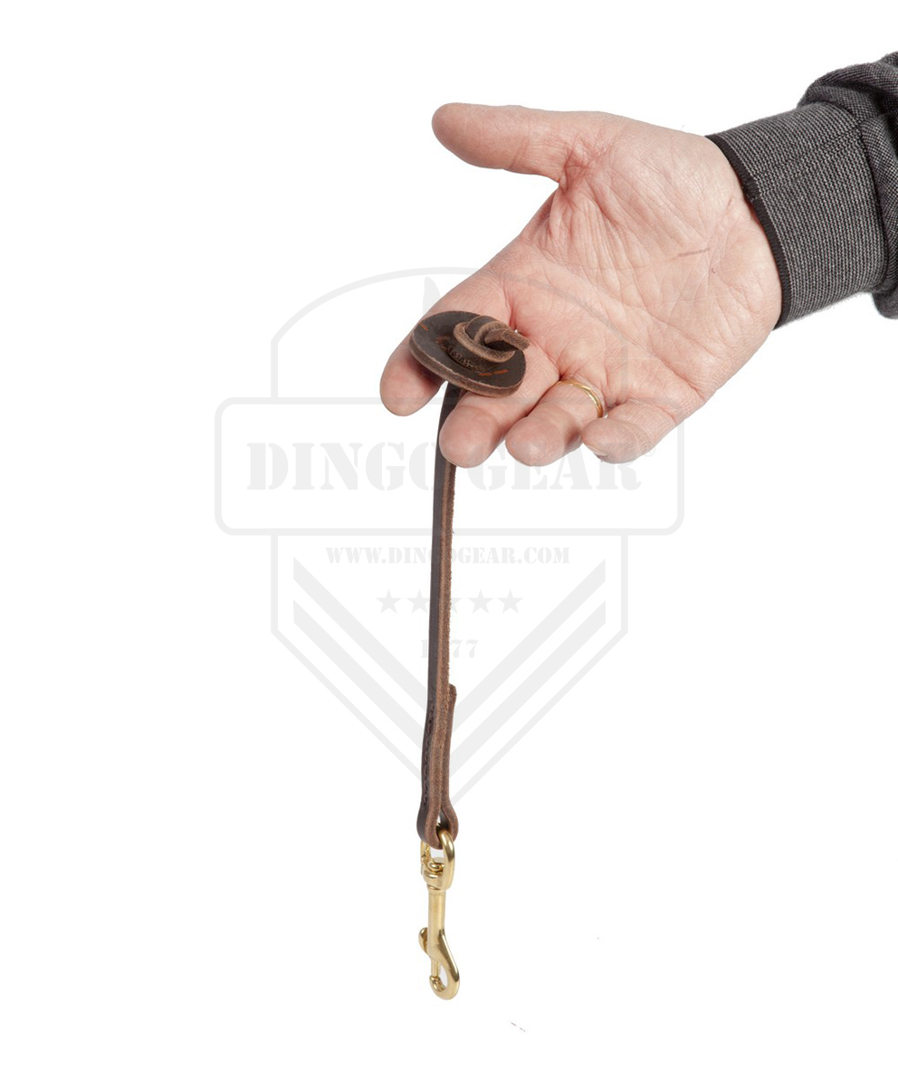 Trela ​​Simples de Couro com Anel DINGO GEAR