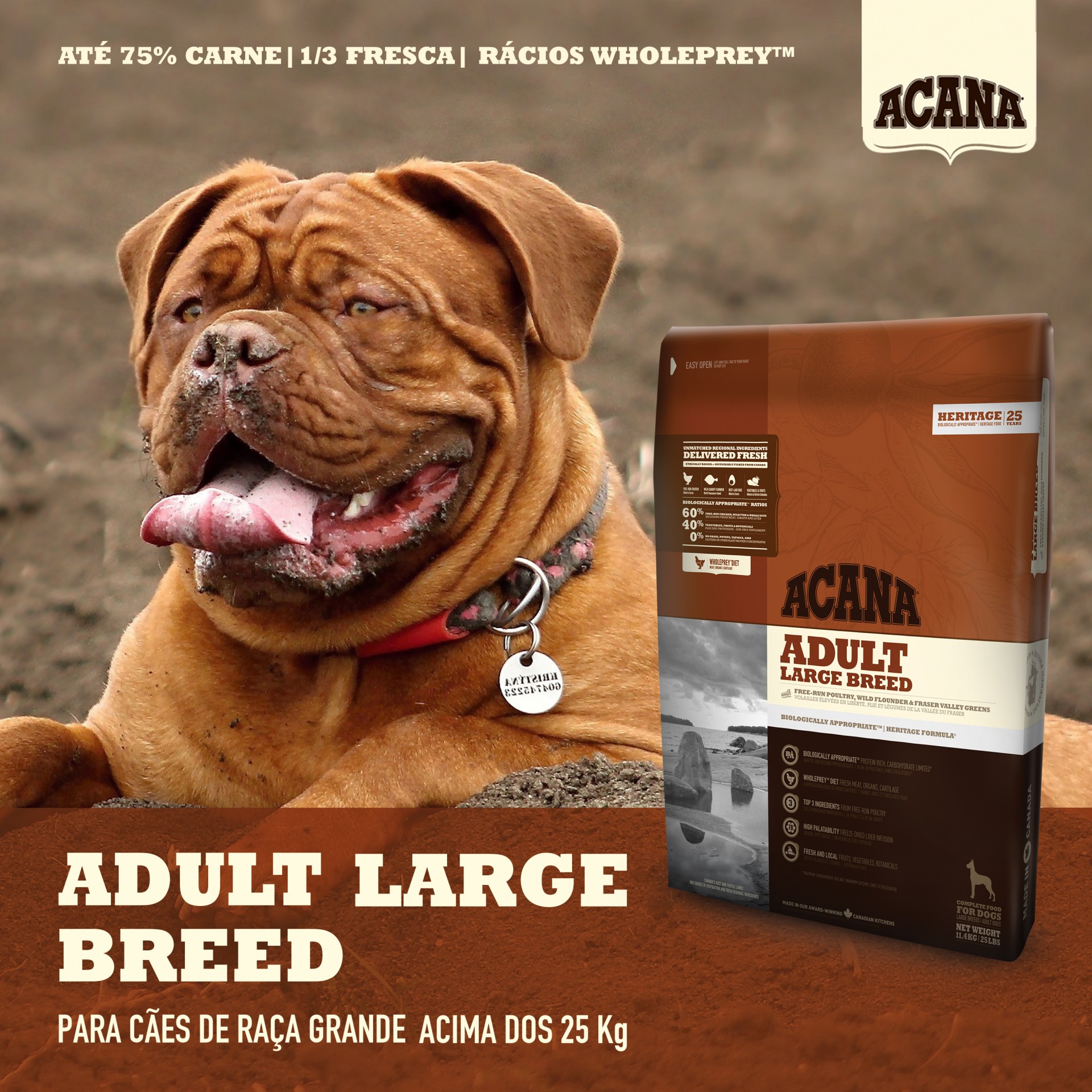 Acana Adult Large Breed