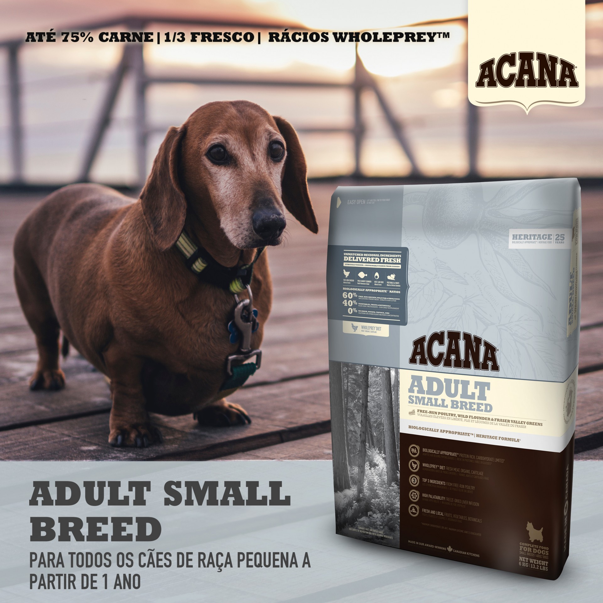 Acana Adult Small Breed