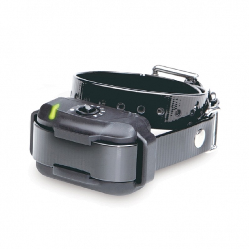 Coleira adicional para Dogtra EF-3500