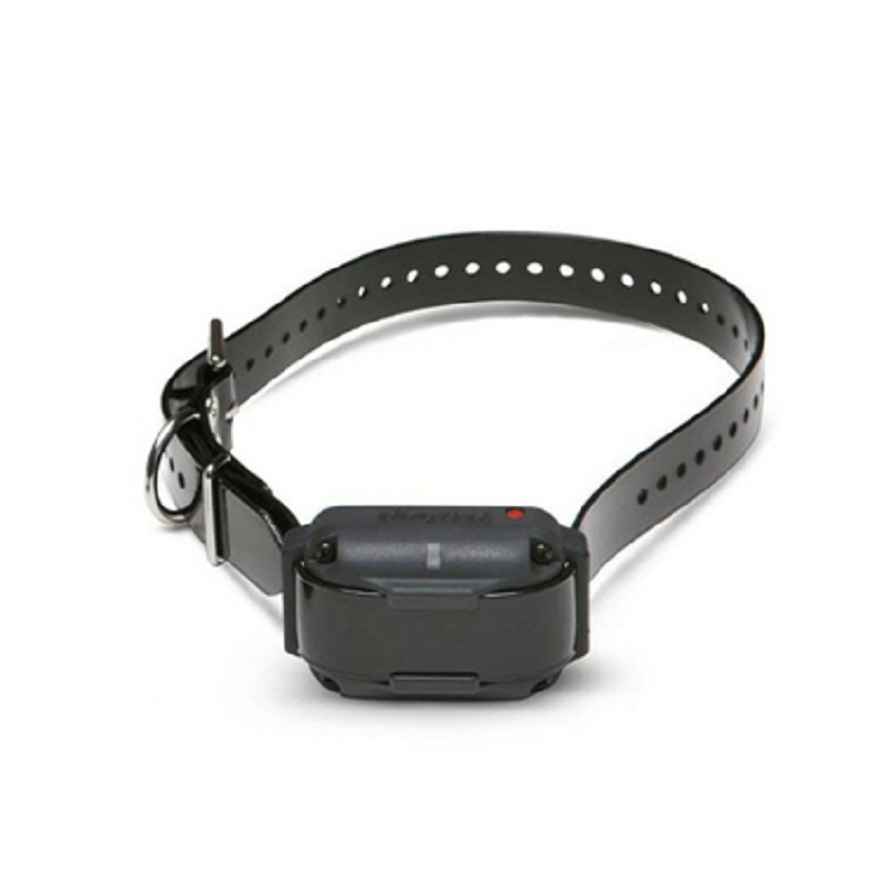 Coleira adicional para Dogtra 3500 NCP