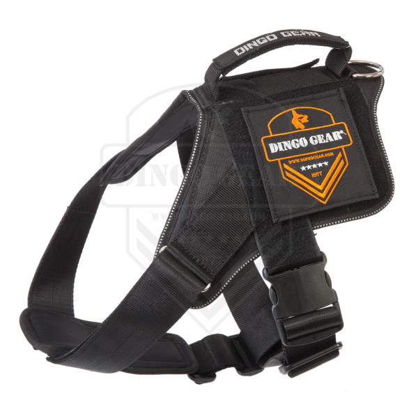 Arnês Marking DINGO GEAR