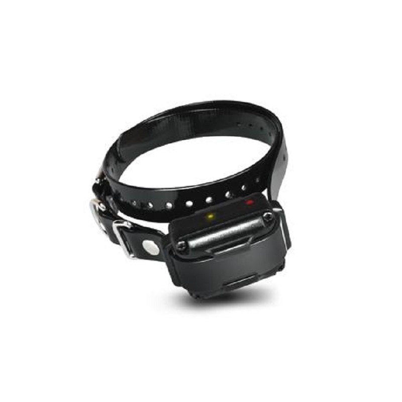 Coleira adicional iQ Plus