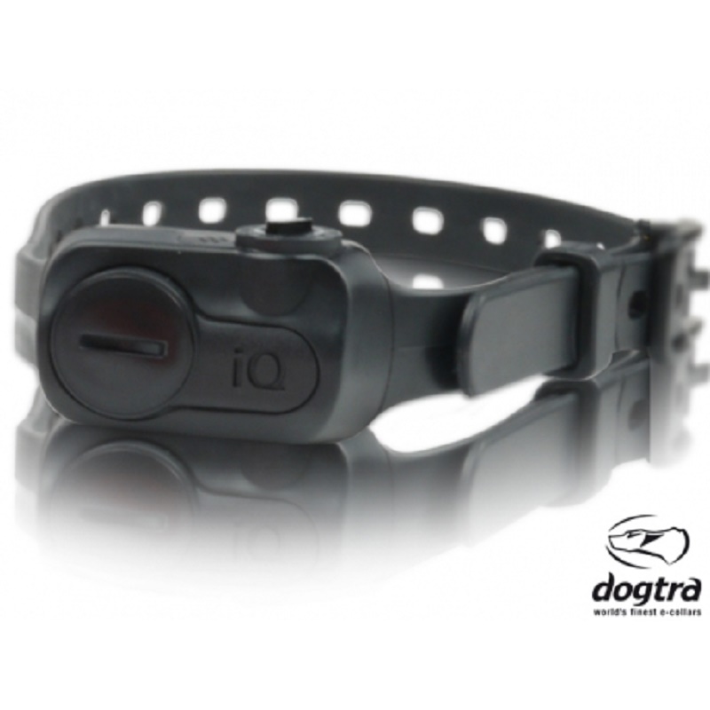 iQ No Bark- Preto