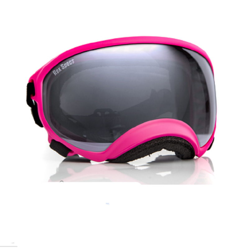 Rex Specs Pink/Silver
