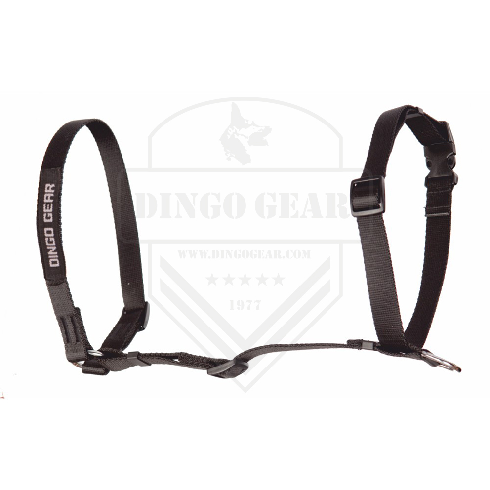 Arnês de busca TRACY DINGO GEAR