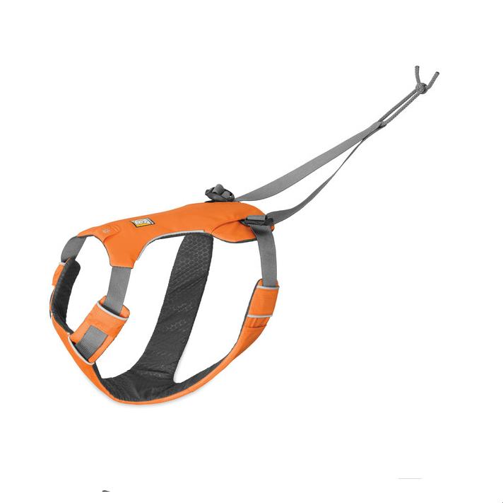 Arnes  OMNIJORE JORING