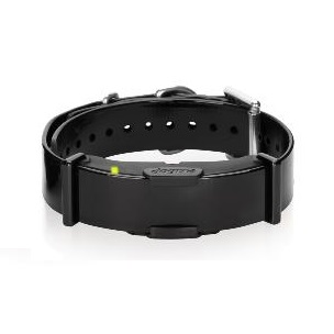 Coleira adicional Dogtra ARC 800