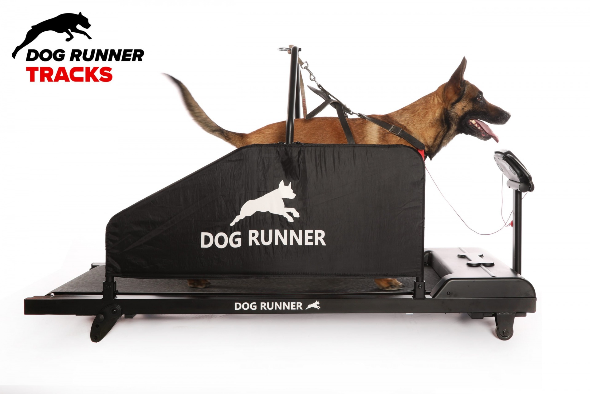 Tapete Rolante DOG RUNNER TRACKS