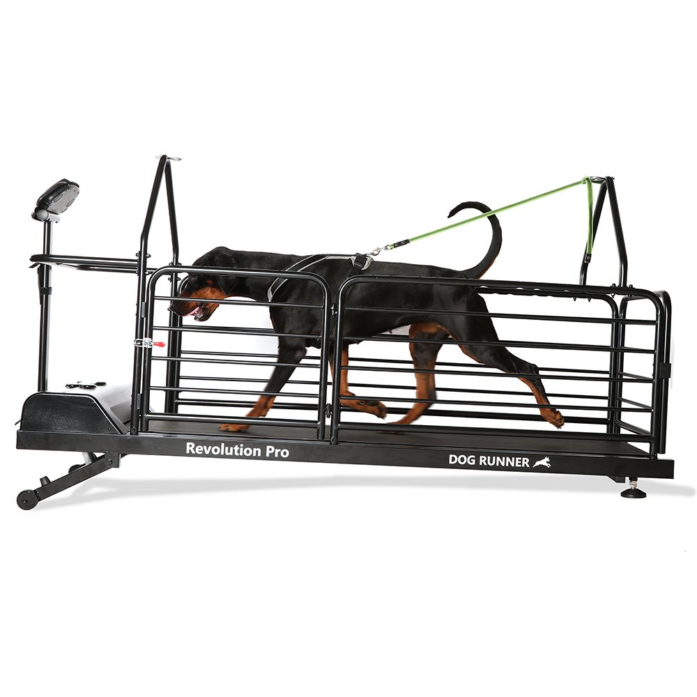 Tapete Rolante DOG RUNNER REVOLUTION PRO