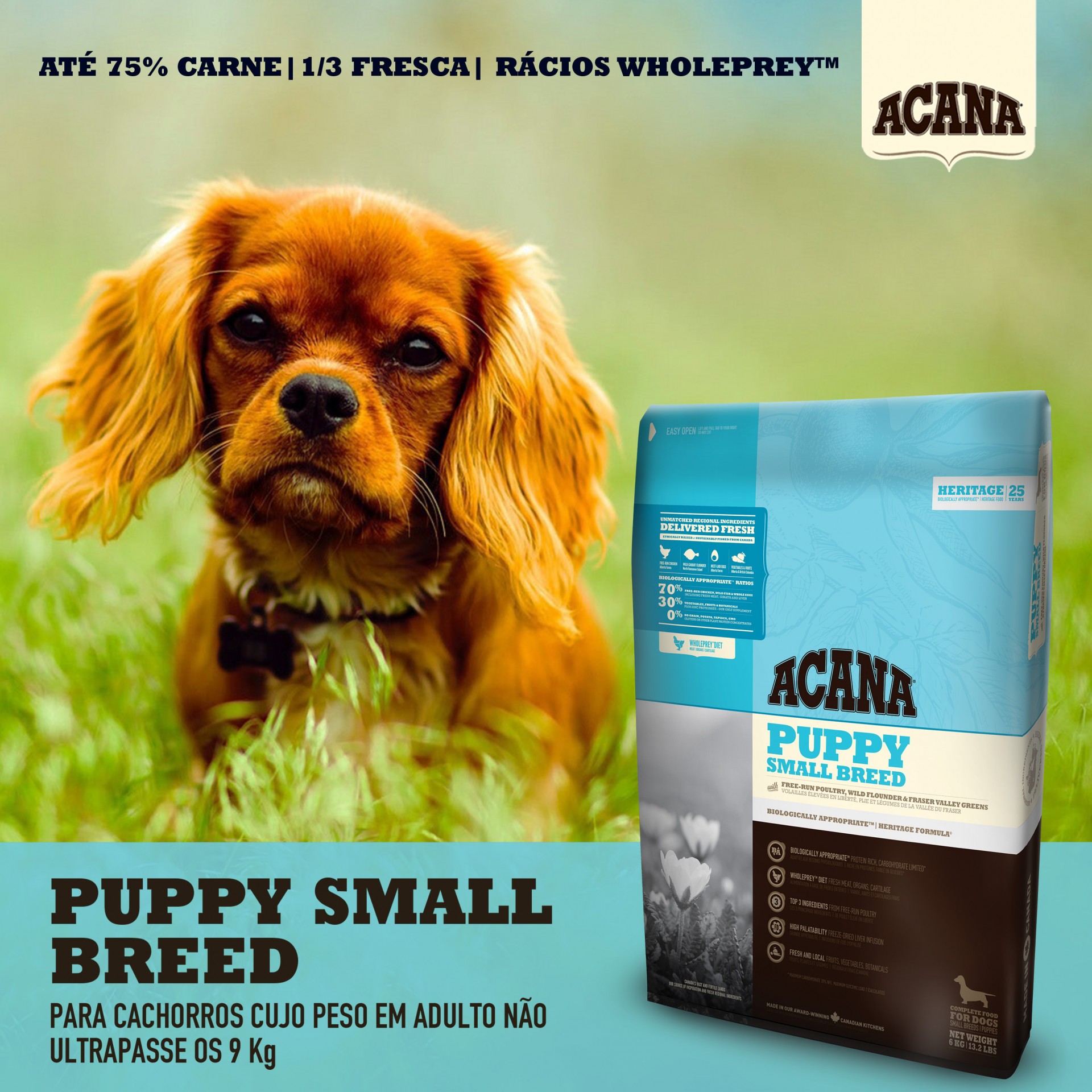 Acana Heritage Puppy Small Breed