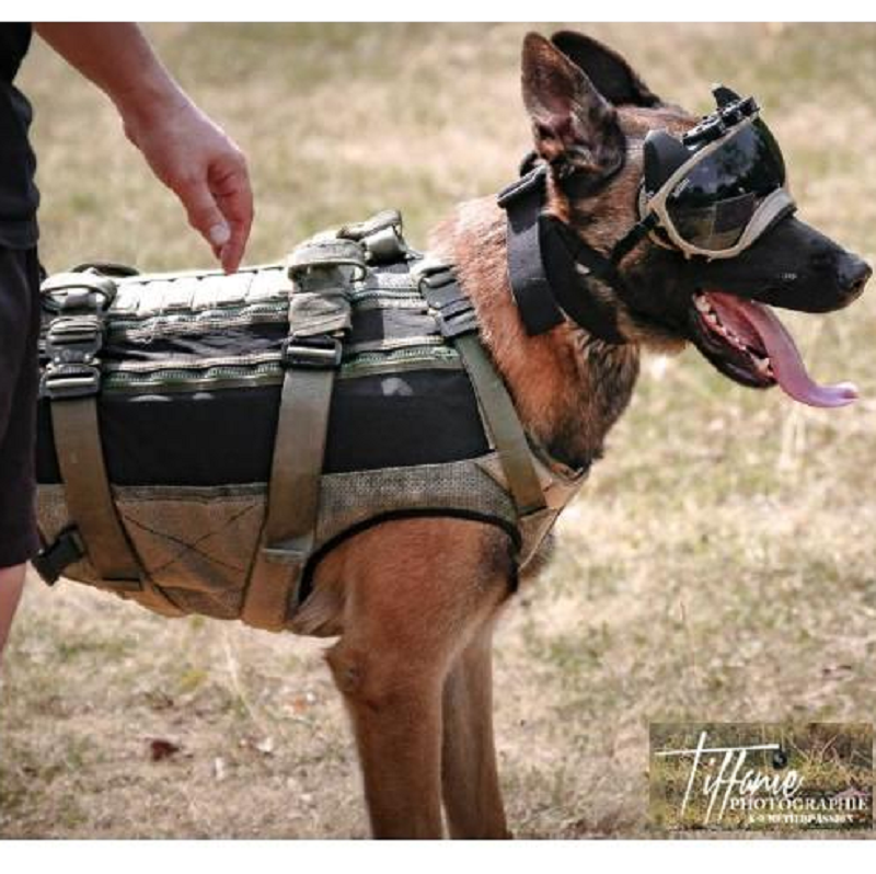 Arnês de proteção balística, de transporte,  facadas e flutuante SIOEN portátil