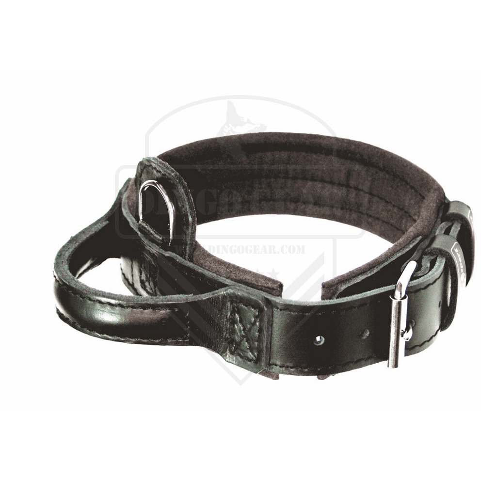 Coleira de couro com pega DRAGO DINGO GEAR