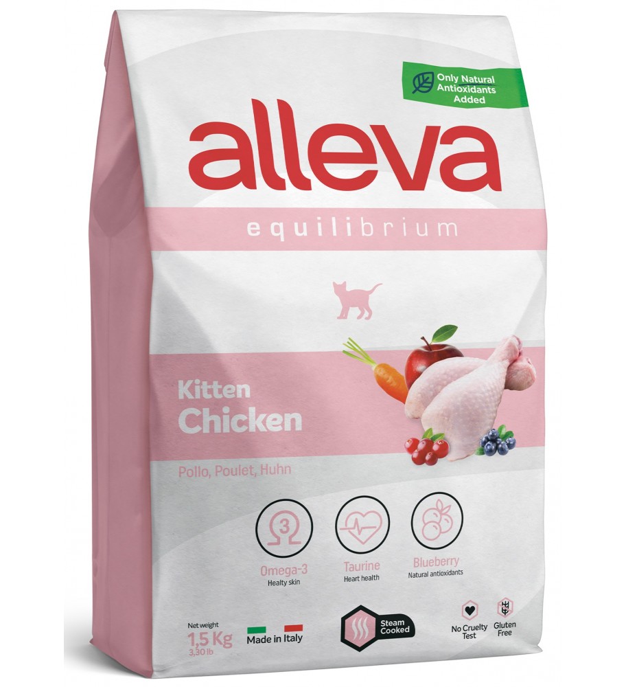 Equilibrium Kitten -Gatinhos