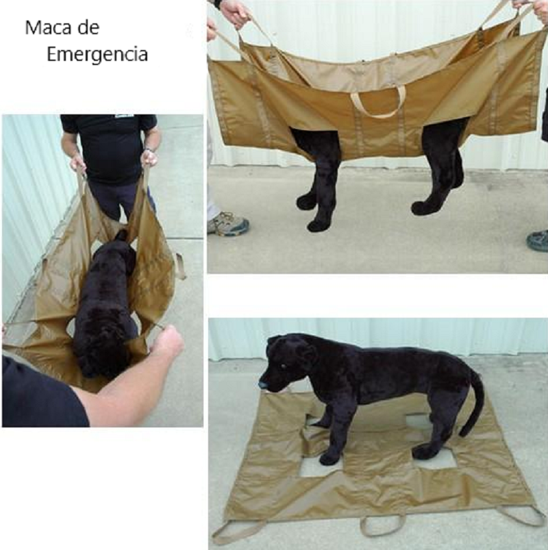 Maca de emergência para evacuação de um cão ferido