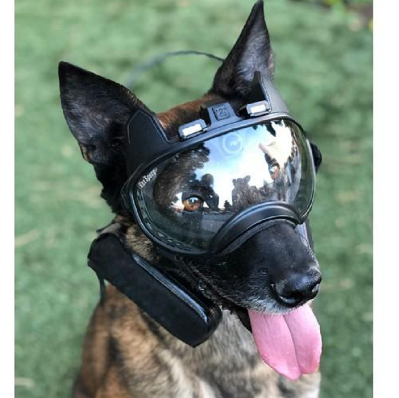 Câmera de bordo K9 VISION SYSTEM SPECS OPS