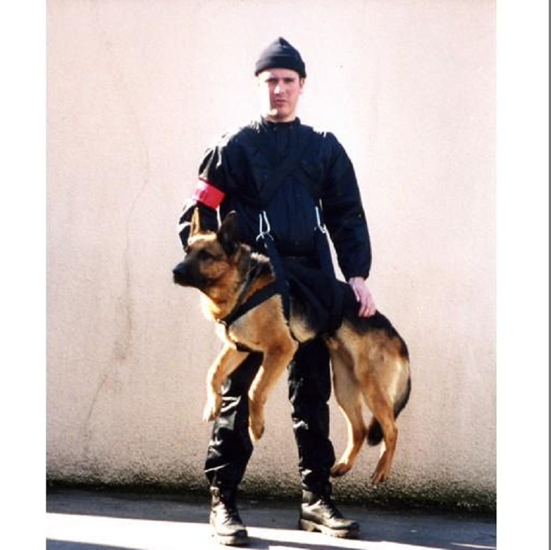 Arnês de transporte de intervenção para cães MORIN