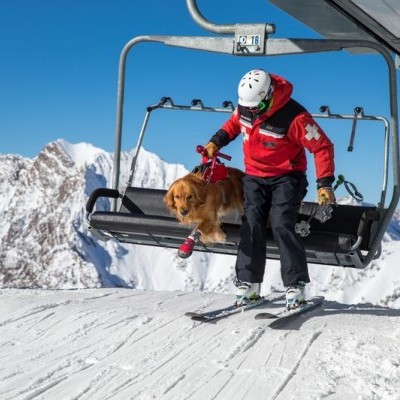 Arnês WEB MASTER PRO