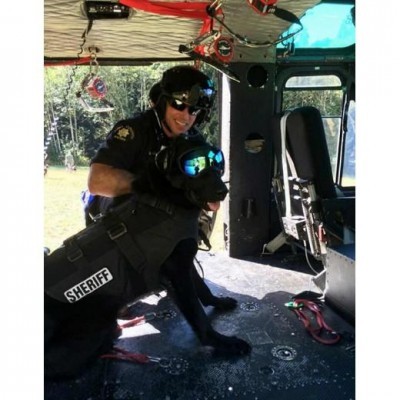 Rex Specs Camo/Smoke