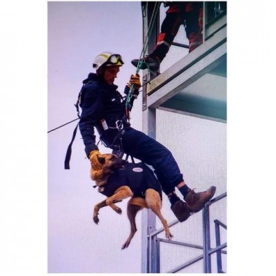 Arnês de Heli-Transporte PRO para cães MORIN