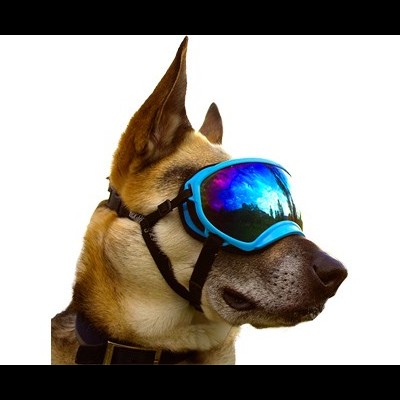 Lentes Azul Rex Specs