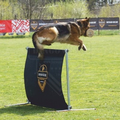 Obstáculo - altura - 100cm x largura - 150cm DINGO GEAR