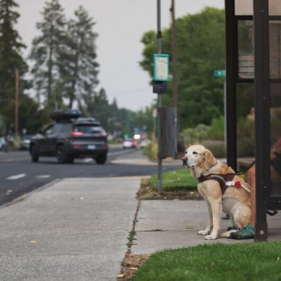 Luz de segurança AUDIBLE BEACON