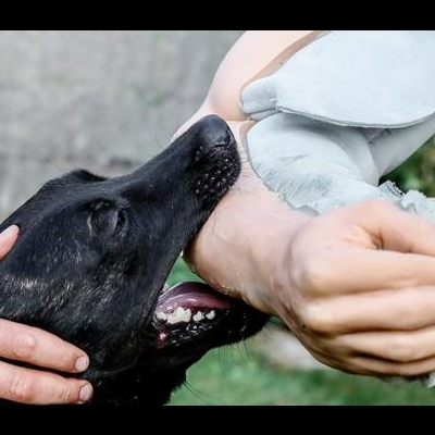 Braço falso completo tipo manga "SAS FULL" EXTREME K-9