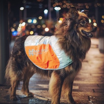 Colete Refletor da NON-STOP Dogwear