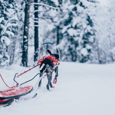 Arnês Non-stop Dogwear COMBINED