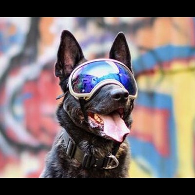 Lentes Azul Rex Specs