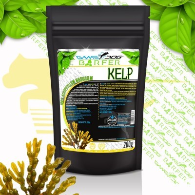 BARFER KELP