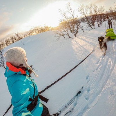 Trela TOURING BUNGEE da NON-STOP Dogwear