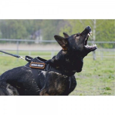 Arnês para cães com fita NYLON DINGO GEAR