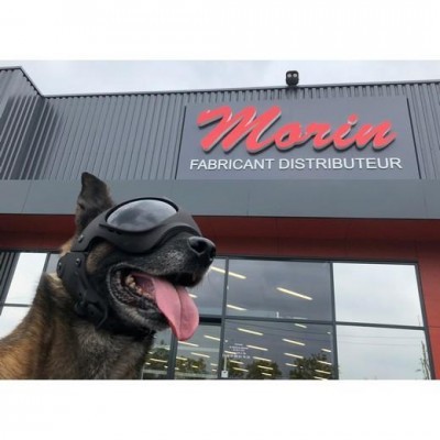 Capacete de proteção tático para cães K9 MORIN PRO