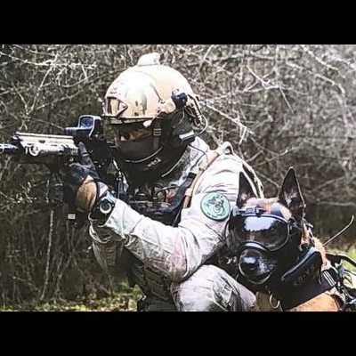 Câmera de bordo K9 VISION SYSTEM