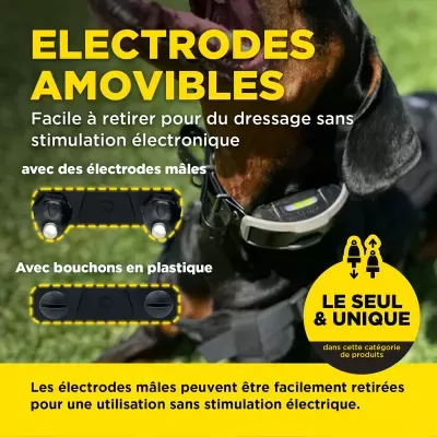 Dogtra 1200X 1 Cão (1900X) Versão UE