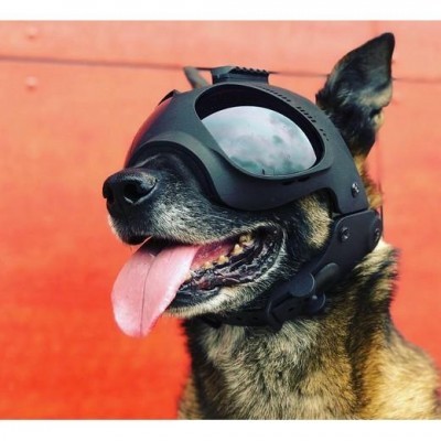 Capacete de proteção tático para cães K9 MORIN PRO