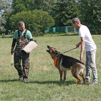 Manga de Treino RALF com Capa de Jute DINGO GEAR
