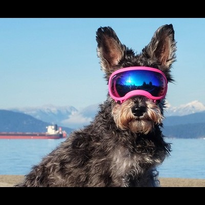 Lentes Azul Rex Specs