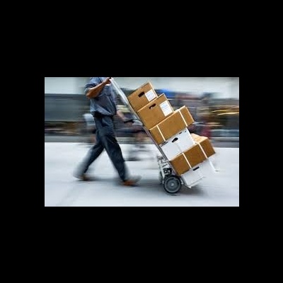 ENTREGAS PRO K9MASTER