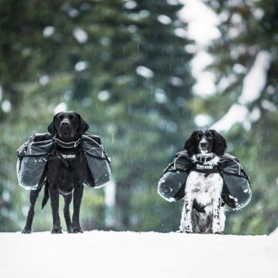Arnês Non-stop Dogwear Amundsen Pack