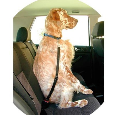 Cinto de Segurança IBANEZ